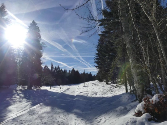 la-givrine-st-cergue-hiver1819-158