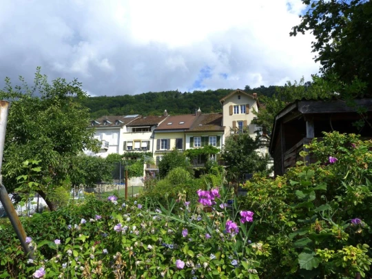 la-neuveville-la-neuveville-117