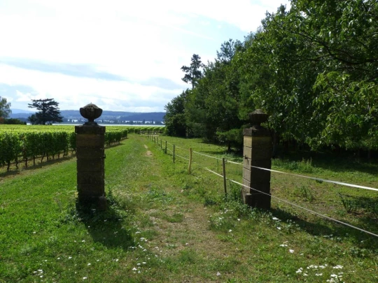 la-neuveville-la-neuveville-122