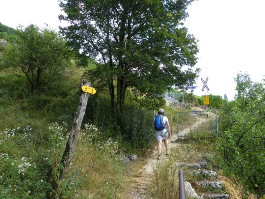 la-neuveville-la-neuveville-128