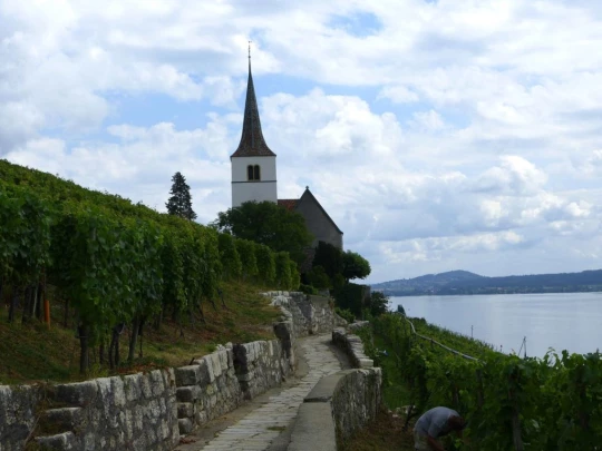 la-neuveville-la-neuveville-131