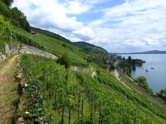 la-neuveville-la-neuveville-147