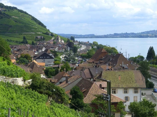 la-neuveville-la-neuveville-148
