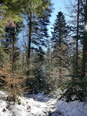 la-sapelle-froideville-108