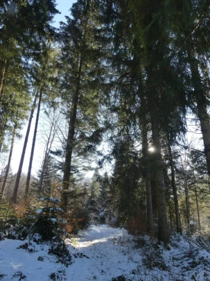 la-sapelle-froideville-129