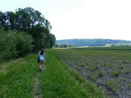 Elodie La Sauge Cudrefin Mont Vully Sugiez Morat Murten