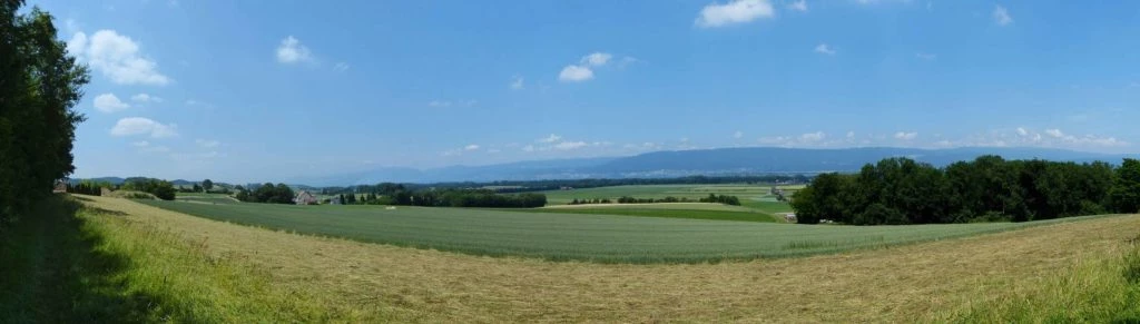 La Sauge Cudrefin Mont Vully Sugiez Morat Murten