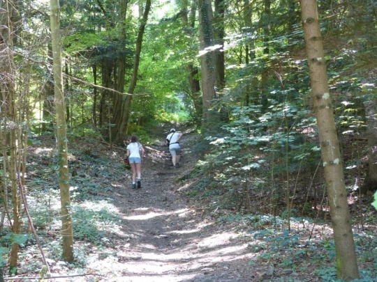 La Sauge Cudrefin Mont Vully Sugiez Morat Murten