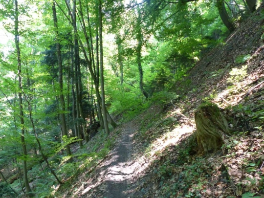 La Sauge Cudrefin Mont Vully Sugiez Morat Murten