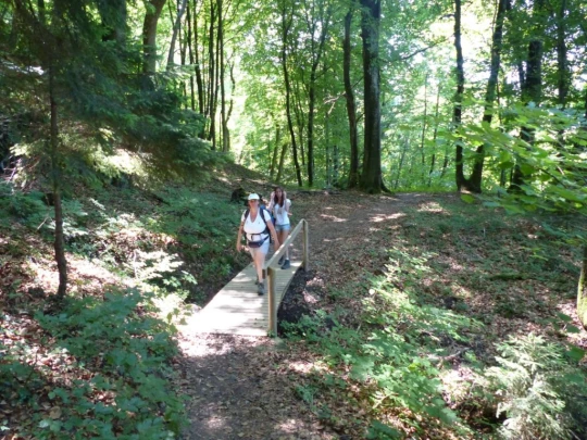 La Sauge Cudrefin Mont Vully Sugiez Morat Murten