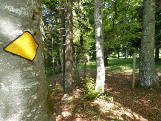 panneau col de la Tourne Tablettes Solmon antenne TV Noiraigue