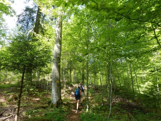 Didier col de la Tourne Tablettes Solmon antenne TV Noiraigue