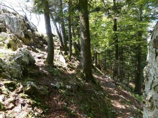 col de la Tourne Tablettes Solmon antenne TV Noiraigue