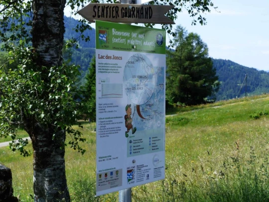 lac-des-joncs-chatel-st-denis-101