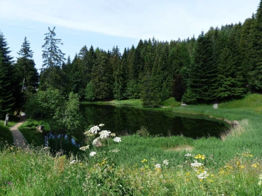 lac-des-joncs-chatel-st-denis-102