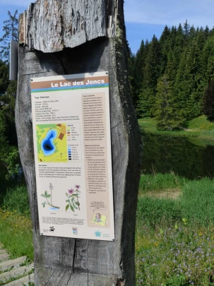 lac-des-joncs-chatel-st-denis-103
