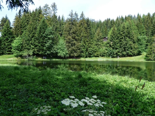 lac-des-joncs-chatel-st-denis-106