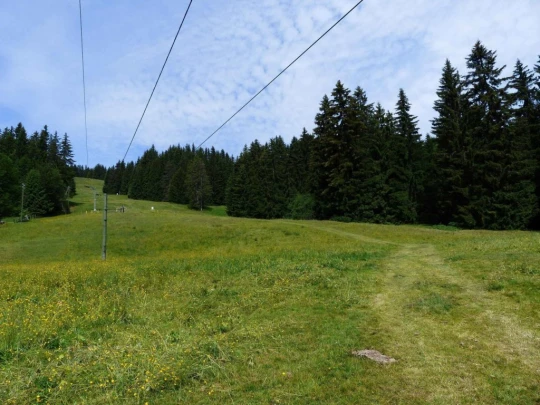 lac-des-joncs-chatel-st-denis-110