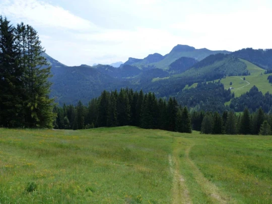 lac-des-joncs-chatel-st-denis-114