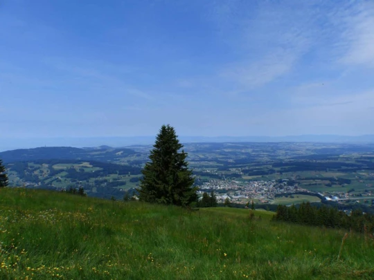 lac-des-joncs-chatel-st-denis-117