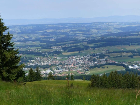 lac-des-joncs-chatel-st-denis-118