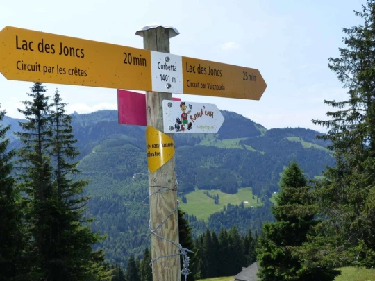lac-des-joncs-chatel-st-denis-121