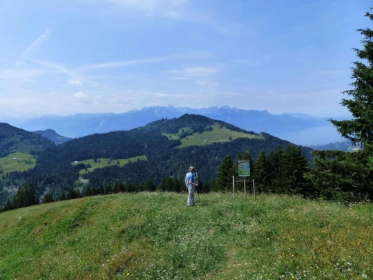 lac-des-joncs-chatel-st-denis-122