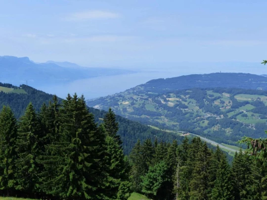 lac-des-joncs-chatel-st-denis-123