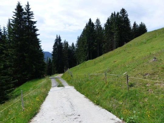 lac-des-joncs-chatel-st-denis-126