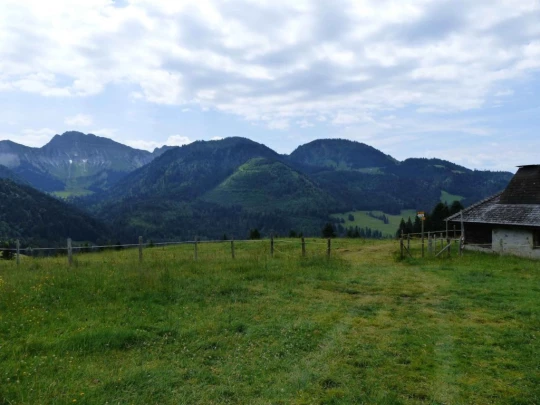 lac-des-joncs-chatel-st-denis-127