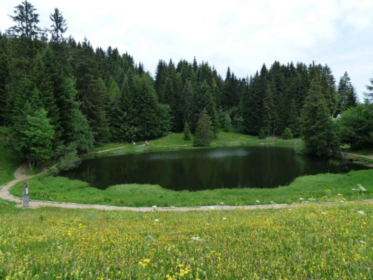 lac-des-joncs-chatel-st-denis-131