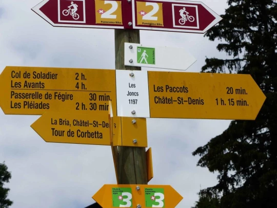 lac-des-joncs-chatel-st-denis-132
