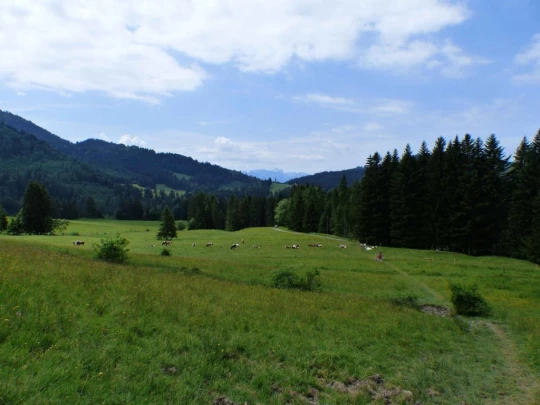 lac-des-joncs-chatel-st-denis-133
