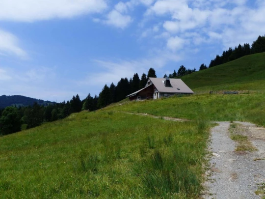 lac-des-joncs-chatel-st-denis-134