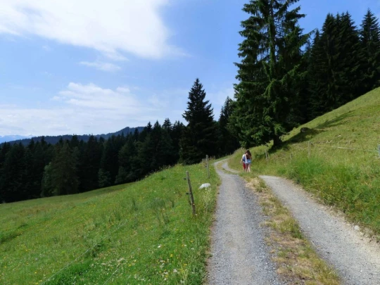 lac-des-joncs-chatel-st-denis-136