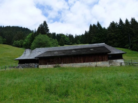 lac-des-joncs-chatel-st-denis-137