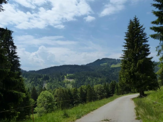 lac-des-joncs-chatel-st-denis-138