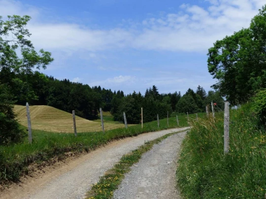 lac-des-joncs-chatel-st-denis-142