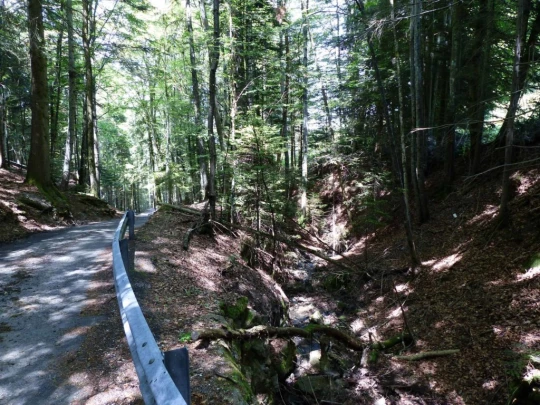 lac-des-joncs-chatel-st-denis-144