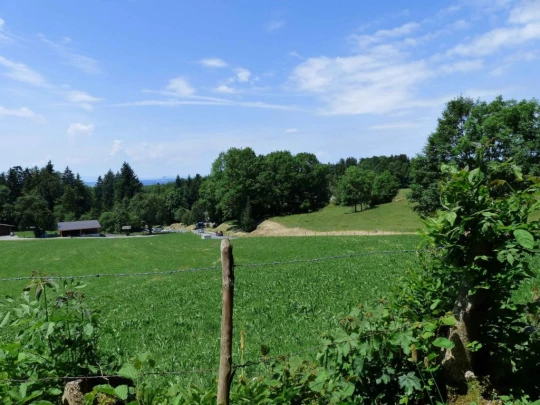 lac-des-joncs-chatel-st-denis-145