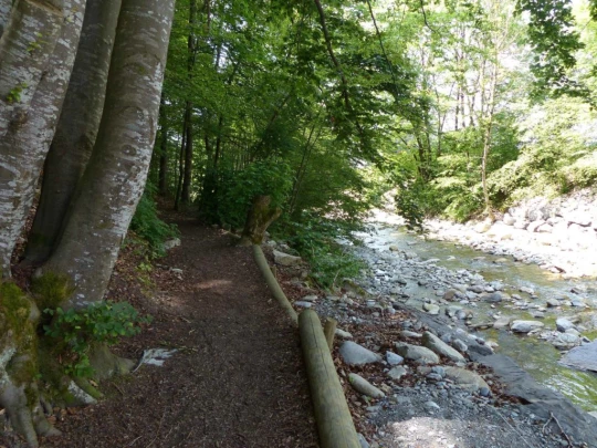 lac-des-joncs-chatel-st-denis-151