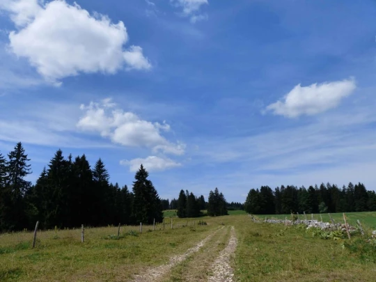 lac-des-tailleres-motiers-117