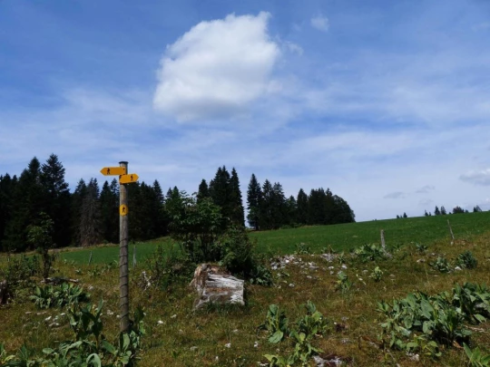 lac-des-tailleres-motiers-119