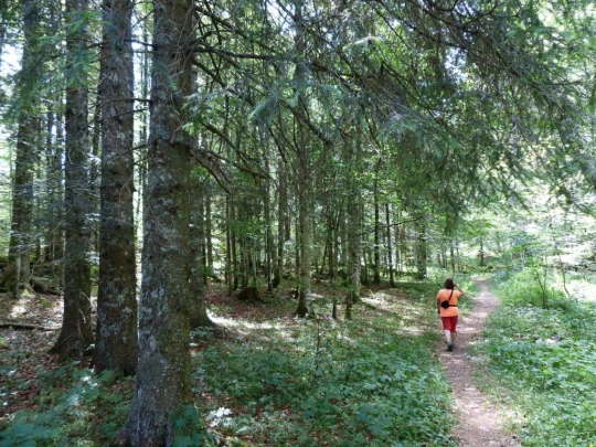 lac-des-tailleres-motiers-120