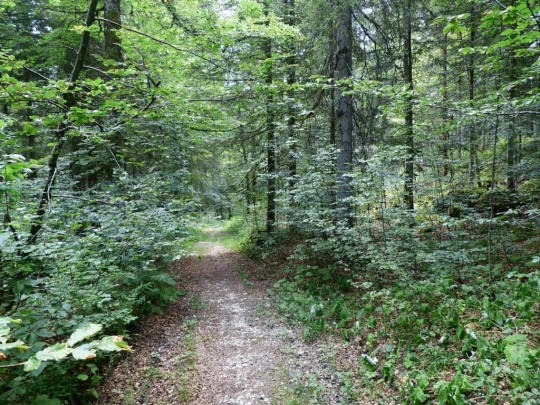 lac-des-tailleres-motiers-121