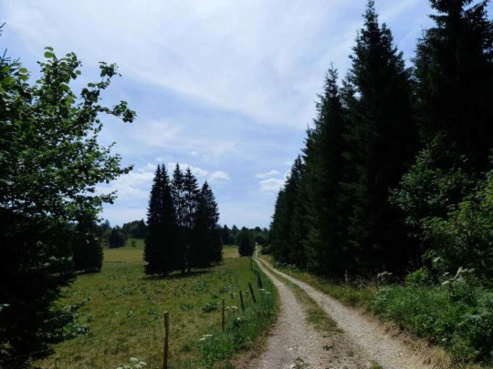 lac-des-tailleres-motiers-129