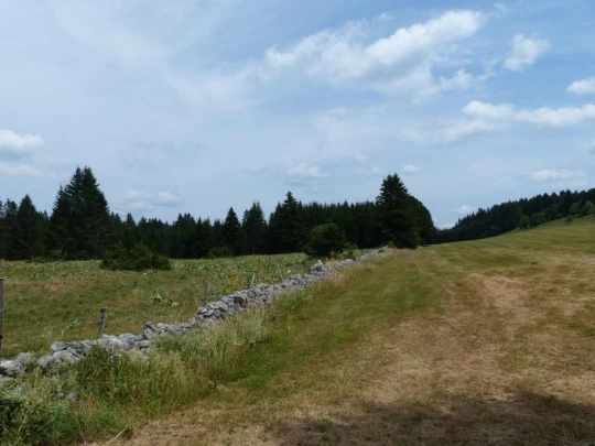 lac-des-tailleres-motiers-131