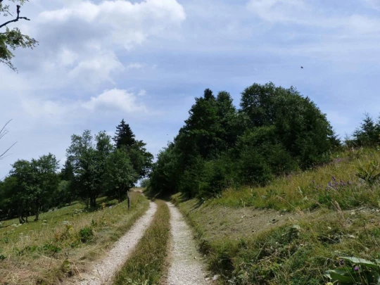 lac-des-tailleres-motiers-132