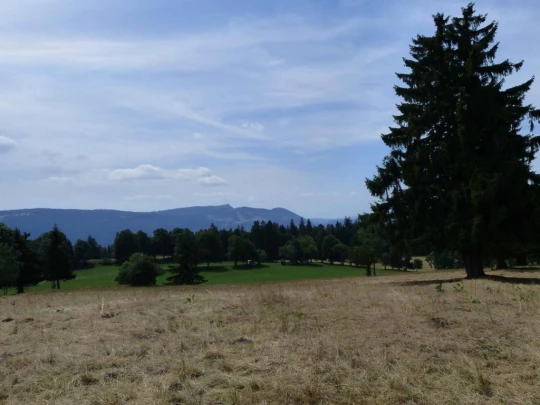 lac-des-tailleres-motiers-141