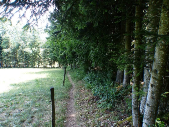 lac-des-tailleres-motiers-146